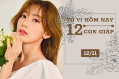 Tử vi hàng ngày hôm nay 12/11 của 12 con giáp: Dần sự nghiệp thuận lợi, Dậu cần quyết đoán hơn
