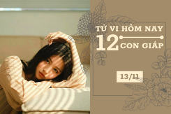 Tử vi hàng ngày hôm nay 13/11 của 12 con giáp: Mão sự nghiệp vượng phát, Tuất tình cảm gặp thử thách
