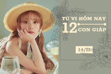 Tử vi hàng ngày hôm nay 14/11 của 12 con giáp: Thìn gặp nhiều may mắn, Hợi đào hoa vượng phát
