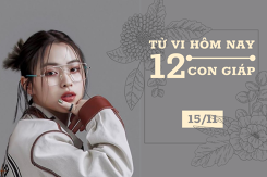 Tử vi hàng ngày hôm nay 15/11 của 12 con giáp: Tý mọi sự suôn sẻ, Tỵ cẩn trọng sức khỏe