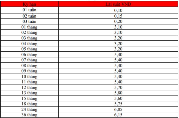Lãi suất Ngân hàng HDBank duy trì ổn định trong tháng 11/2021 - Ảnh 3.