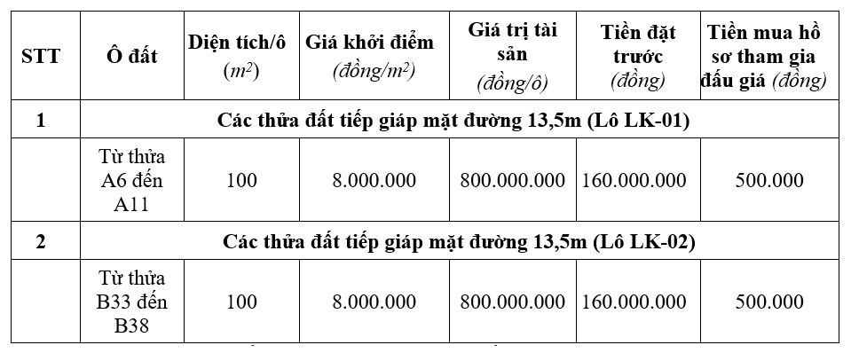 Vĩnh Phúc sắp đấu giá 12 ô đất tại TP Vĩnh Yên, khởi điểm 800 triệu đồng/ô - Ảnh 1. Vĩnh Phúc sắp đấu giá 12 ô đất tại TP Vĩnh Yên, khởi điểm 800 triệu đồng/ô - Ảnh 1.