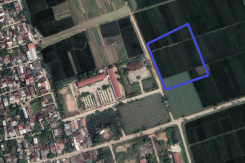 Đất có quy hoạch ở phường Hương Chữ, thị xã Hương Trà, Thừa Thiên Huế