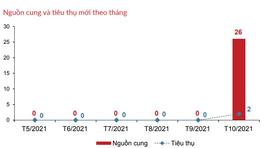 Ảnh hưởng mạnh bởi dịch bệnh, thị trường TP HCM ra sao trong tháng đầu mở cửa? - Ảnh 1.