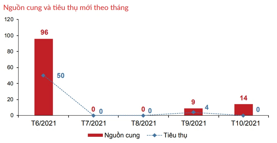 Ảnh hưởng mạnh bởi dịch bệnh, thị trường TP HCM ra sao trong tháng đầu mở cửa? - Ảnh 3.