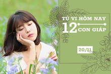 Tử vi hàng ngày hôm nay 20/11 của 12 con giáp: Tỵ mọi chuyện hanh thông, Tuất sức khỏe xuống dốc