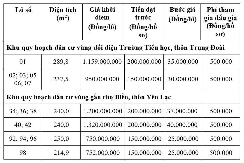 Hà Tĩnh đấu giá 15 lô đất tại huyện Cẩm Xuyên, khởi điểm 750 triệu đồng/lô - Ảnh 1.