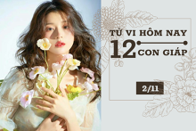Tử vi hàng ngày hôm nay 2/11 của 12 con giáp: Dần tài lộc tăng tiến, Hợi tình cảm phai nhạt