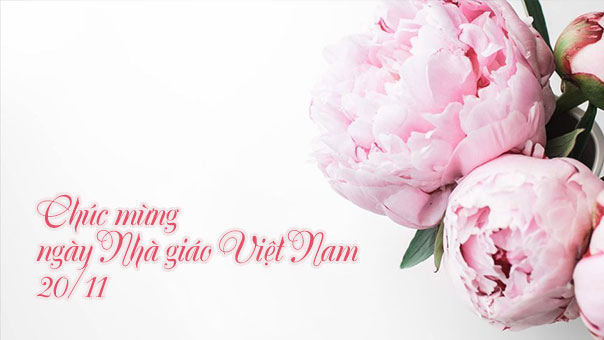 Top 15 lời chúc 20/11 cho bạn bè hay và ý nghĩa - Ảnh 3. Top 15 lời chúc 20/11 cho bạn bè hay và ý nghĩa - Ảnh 3.