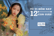 Tử vi hàng ngày hôm nay 22/11 của 12 con giáp: Tý cẩn thận đầu tư, Mùi tình duyên rộng mở