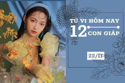 Tử vi hàng ngày hôm nay 22/11 của 12 con giáp: Tý cẩn thận đầu tư, Mùi tình duyên rộng mở