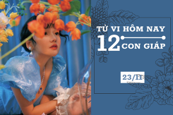Tử vi hàng ngày hôm nay 23/11 của 12 con giáp: Sửu cẩn trọng khi hợp tác, Thân gia đình hòa thuận