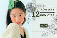 Tử vi hàng ngày hôm nay 24/11 của 12 con giáp: Dần gặp nhiều may mắn, Dậu cần tập trung cho mục tiêu