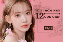 Tử vi hàng ngày hôm nay 25/11 của 12 con giáp: Mão không nên chủ quan, Tuất tình cảm đong đầy