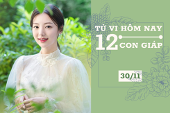 Tử vi hàng ngày hôm nay 30/11 của 12 con giáp: Mão có nhiều sáng kiến, Thân tình cảm đi xuống