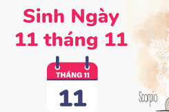 Ngày 11/11 là cung gì? Khám phá những yếu tố liên quan đến ngày sinh