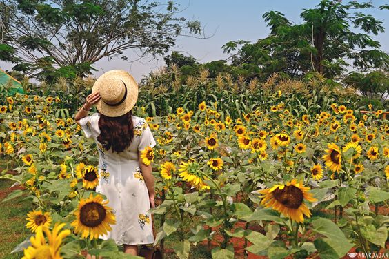 Tử vi hàng ngày hôm nay 4/11 của 12 con giáp: Sửu tài lộc giảm sút, Ngọ có quý nhân tương trợ - Ảnh 2. Tử vi hàng ngày hôm nay 4/11 của 12 con giáp: Sửu tài lộc giảm sút, Ngọ có quý nhân tương trợ - Ảnh 2.