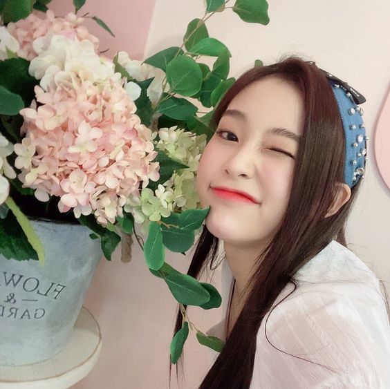 Tử vi tuần mới của 12 con giáp, 12 cung hoàng đạo (29/11-5/12): Dần công việc thuận lợi, Bọ Cạp được thưởng nóng - Ảnh 4.