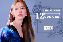 Tử vi hàng ngày hôm nay 2/12 của 12 con giáp: Tỵ mọi vận trình suôn sẻ, Tuất cần nghỉ ngơi nhiều hơn