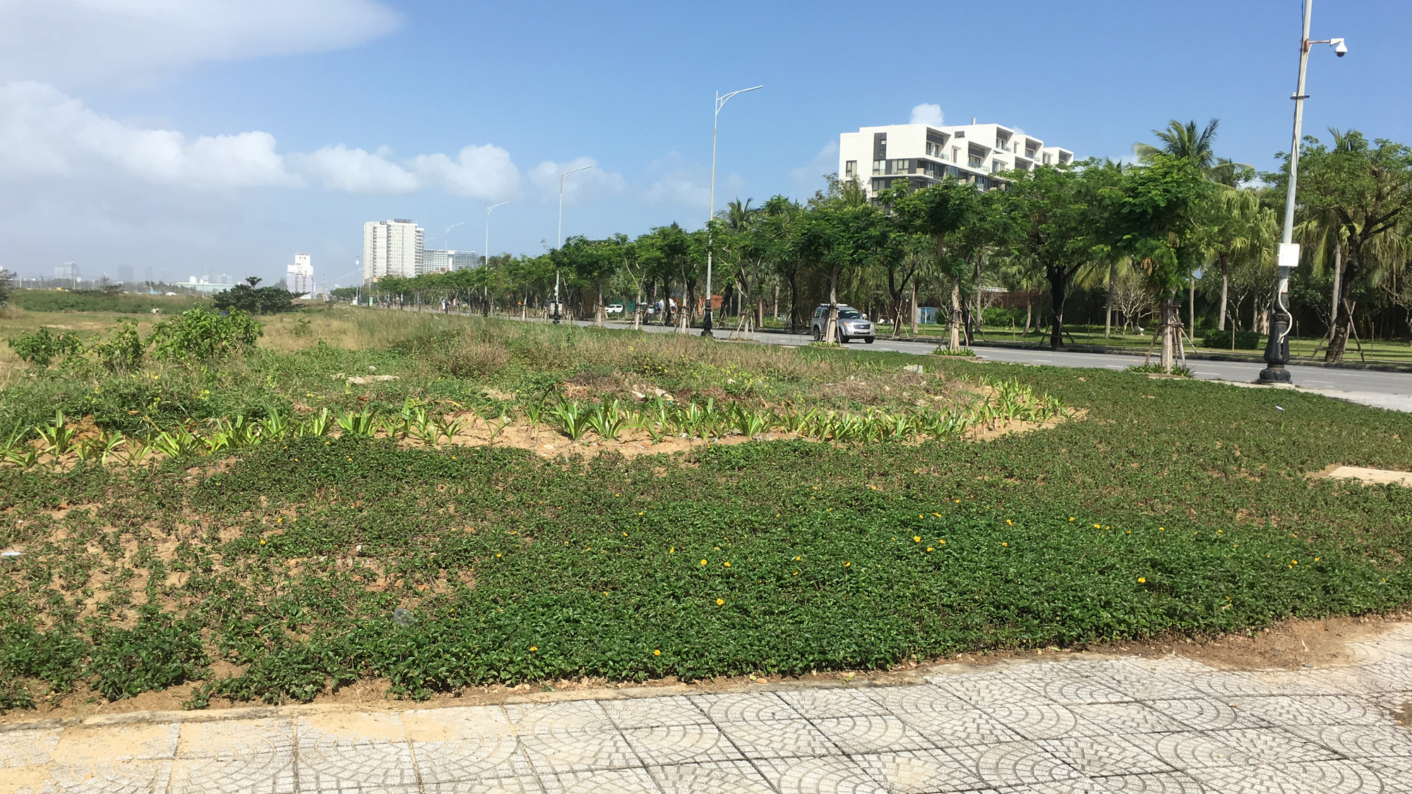 Khu đất hơn 12 ha trong vụ kiện giữa Sudico và Land Hà Hải hiện có giá bao nhiêu? - Ảnh 1. Khu đất hơn 12 ha trong vụ kiện giữa Sudico và Land Hà Hải hiện có giá bao nhiêu? - Ảnh 1.