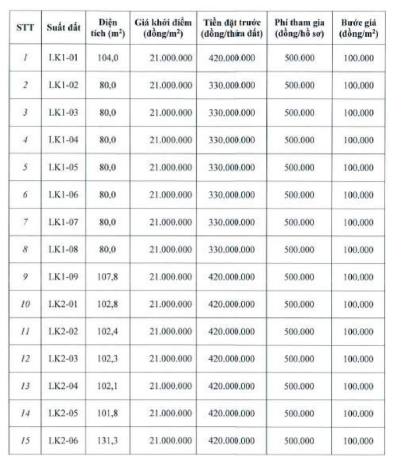 Đấu giá 15 thửa đất liền kề tại Mê Linh, khởi điểm 21 triệu đồng/m2 - Ảnh 1.