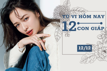 Tử vi hàng ngày hôm nay 12/12 của 12 con giáp: Mão gặp nhiều thách thức, Thân cần thận trọng hơn
