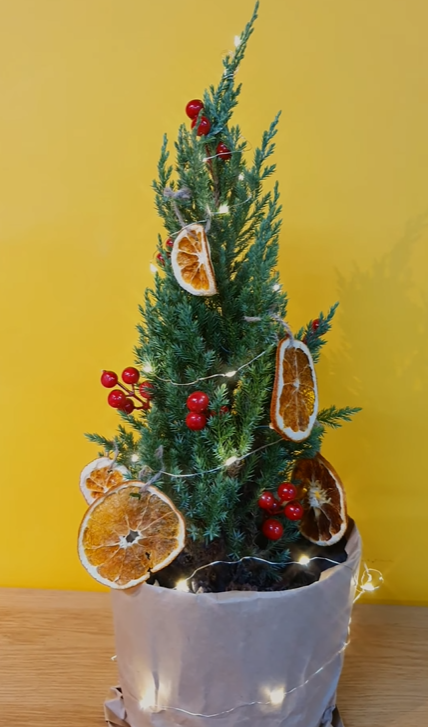 Top 5 cách trang trí cây thông Noel đẹp, sáng tạo và tiết kiệm năm 2021 - Ảnh 2. Top 5 cách trang trí cây thông Noel đẹp, sáng tạo và tiết kiệm năm 2021 - Ảnh 2.