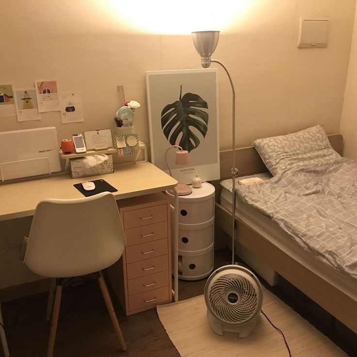 Tử vi hàng ngày hôm nay 15/12 của 12 con giáp: Ngọ sự nghiệp rực rỡ, Hợi ngưng nghĩ tiêu cực - Ảnh 1.