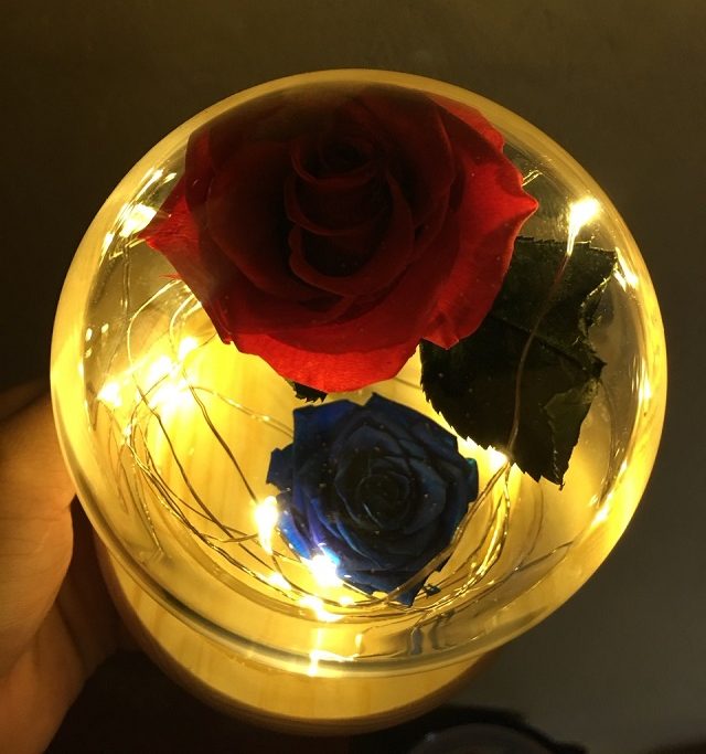 Gợi ý những món quà tặng độc lạ dành tặng người yêu dịp Noel 2021 - Ảnh 9. Gợi ý những món quà tặng độc lạ dành tặng người yêu dịp Noel 2021 - Ảnh 9.