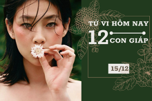 Tử vi hàng ngày hôm nay 15/12 của 12 con giáp: Ngọ sự nghiệp rực rỡ, Hợi ngưng nghĩ tiêu cực