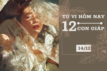 Tử vi hàng ngày hôm nay 14/12 của 12 con giáp: Tỵ công việc trì trệ, Tuất tình cảm ngọt ngào