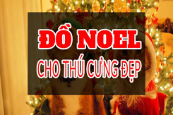 Gợi ý những món đồ Noel cho thú cưng đẹp và dễ thương