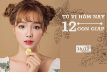 Tử vi hàng ngày hôm nay 16/12 của 12 con giáp: Mùi tình cảm viên mãn, Tý tài lộc ảm đạm