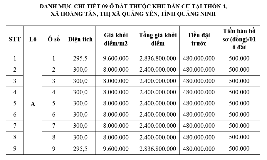 Quảng Ninh đấu giá 29 ô đất, khởi điểm 1,1 - 2,8 tỷ đồng/ô. - Ảnh 1. Quảng Ninh đấu giá 29 ô đất, khởi điểm 1,1 - 2,8 tỷ đồng/ô. - Ảnh 1.