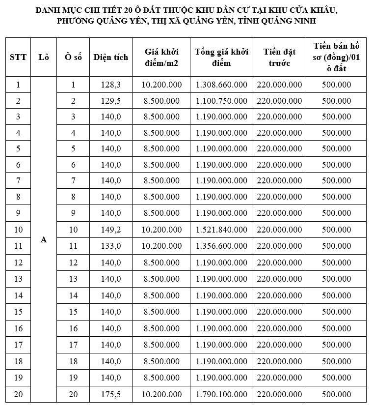Quảng Ninh đấu giá 29 ô đất, khởi điểm 1,1 - 2,8 tỷ đồng/ô. - Ảnh 2. Quảng Ninh đấu giá 29 ô đất, khởi điểm 1,1 - 2,8 tỷ đồng/ô. - Ảnh 2.