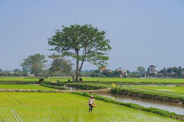 Kế hoạch sử dụng đất huyện Lý Nhân, tỉnh Hà Nam - Ảnh 1. Kế hoạch sử dụng đất huyện Lý Nhân, tỉnh Hà Nam - Ảnh 1.