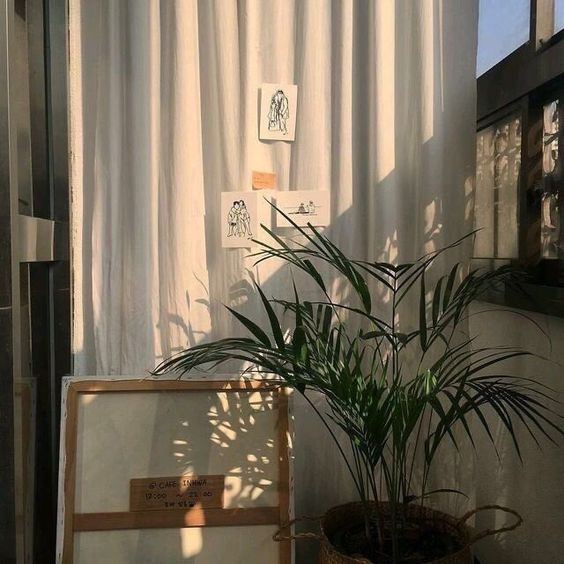 Tử vi hàng ngày hôm nay 3/12 của 12 con giáp: Ngọ đạt nhiều thành tựu, Hợi gặp nhiều khó khăn - Ảnh 1. Tử vi hàng ngày hôm nay 3/12 của 12 con giáp: Ngọ đạt nhiều thành tựu, Hợi gặp nhiều khó khăn - Ảnh 1.