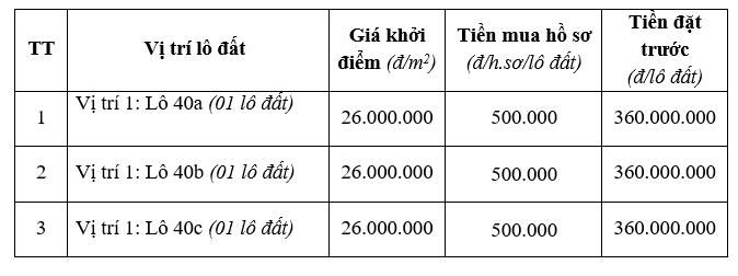 Đấu giá ba lô đất tại huyện Gia Lộc, Hải Dương, khởi điểm hơn 1,8 tỷ đồng/lô - Ảnh 1. Đấu giá ba lô đất tại huyện Gia Lộc, Hải Dương, khởi điểm hơn 1,8 tỷ đồng/lô - Ảnh 1.
