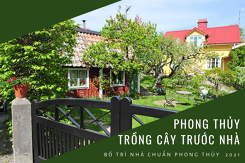Cách bố trí phong thủy trồng cây trước nhà giúp cải thiện vận may cho gia chủ