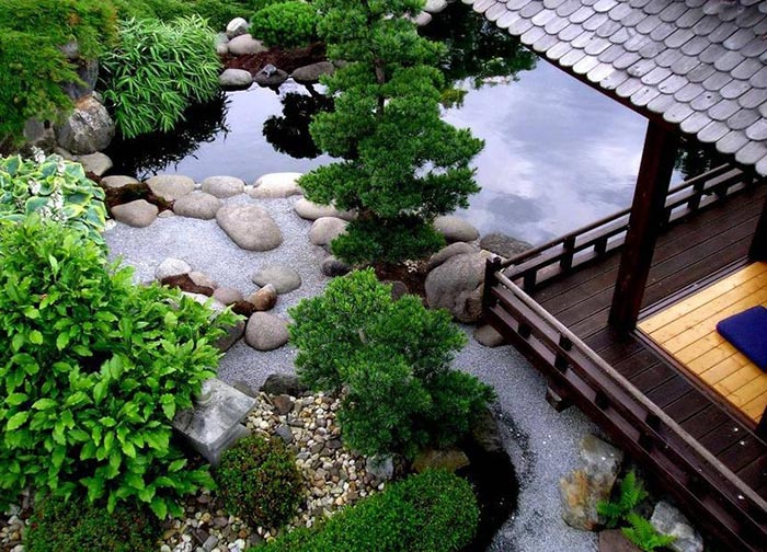 Cách bố trí phong thủy trồng cây trước nhà giúp cải thiện vận may cho gia chủ - Ảnh 6.