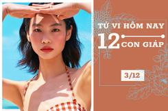 Tử vi hàng ngày hôm nay 3/12 của 12 con giáp: Ngọ đạt nhiều thành tựu, Hợi gặp nhiều khó khăn