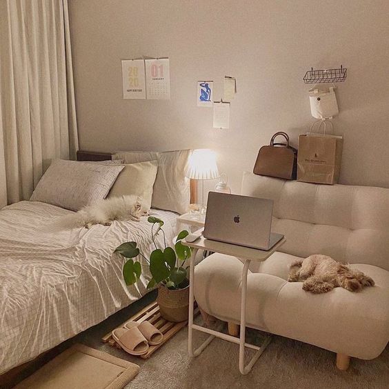 Tử vi hàng ngày hôm nay 22/12 của 12 con giáp: Sửu gặp nhiều khó khăn, Ngọ vận may gõ cửa - Ảnh 1.