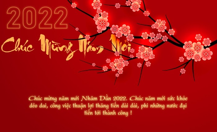 Top 20 hình ảnh chúc Tết Dương lịch năm 2022 đặc sắc và ý nghĩa - Ảnh 13.