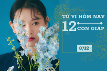 Tử vi hàng ngày hôm nay 8/12 của 12 con giáp: Hợi tình cảm muộn phiền, Thìn sự nghiệp nan giải