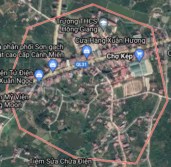 Đất có quy hoạch ở xã Hồng Giang, huyện Lục Ngạn, tỉnh Bắc Giang - Ảnh 1.
