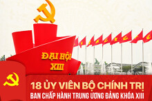 Tiểu sử vắn tắt 18 Ủy viên Bộ Chính trị Ban Chấp hành Trung ương khóa XIII