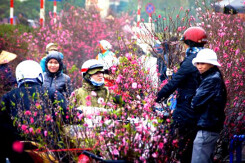 Thời tiết Hà Nội hôm nay 11/2: Trời tiếp tục rét, sáng sớm có sương mù nhẹ, Hải Phòng ngày nắng, đêm không mưa