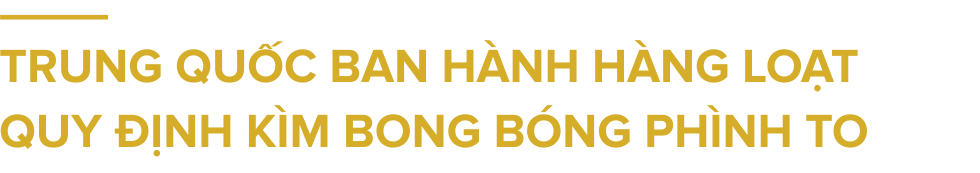 [Longform] Giấc mơ an cư thời đất nóng - Ảnh 14.