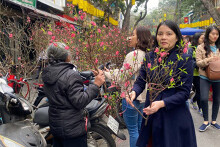 Thời tiết Đà Nẵng hôm nay 13/2: Ngày mùng 2 Tết, sáng và đêm có sương mù, trời lạnh, Đà Lạt chiều tối có mưa