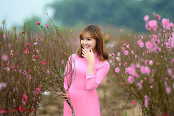 Thời tiết Hà Nội hôm nay 15/2: Mùng 4 Tết sáng và đêm trời vẫn rét, ít mưa, Hải Phòng ngày nắng
